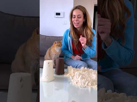 When Your Cat Thinks Nobody Is Watching! 🐱😏🤣