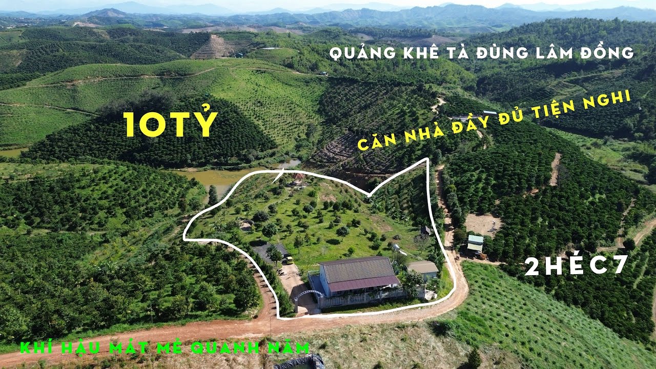 Bán Căn Nhà Mộng Mở Trên Đồi Quảng Khê Tà Đùng,Lâm Đồng,dt 2ha7,Khí Hậu Mát Mẻ,Phù Hợp Nghỉ Dưỡng