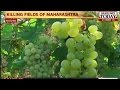 Unseasonal Rains Destroy Crops, Affect