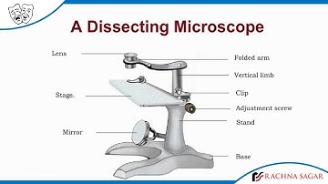 A Dissecting Microscope