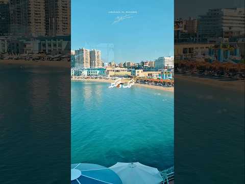 غمز وغمزتله نانسي عجرم نانسى عجرم    حالات واتس تصميمي تصويري