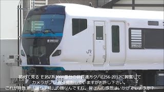 E257系 特急踊り子号の新塗色・改造等全容が見えました！非貫通クハ初お目見え！2019.3.5 JR長野総合車両センター　光panasd 1157