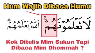 Banyak Keliru Ayat Ini Karena Waqaf Jaiz ج Boleh Lanjut | Cara Baca Surat al-Anfaal Ayat 60