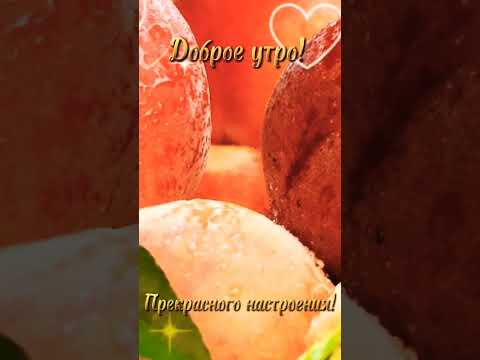 //Доброе утро мои