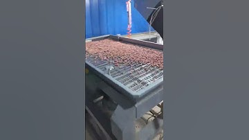 BL60 peanut color sorter machine #peanut