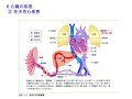 Web講義病理学第8回（第11章循環器系の疾患）（20211125）