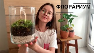 ФЛОРАРИУМ с фиттонией 🌿 DIY Florarium