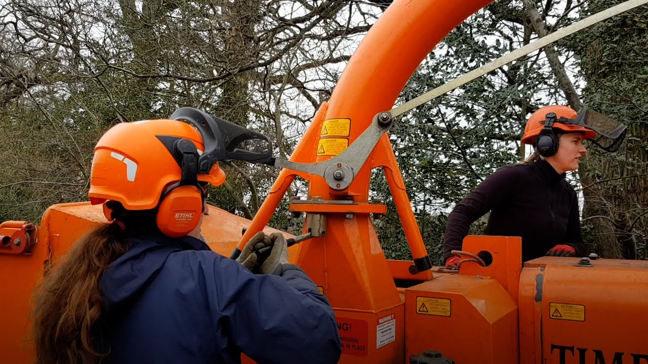 International Women's Day: Women working in practical conservation