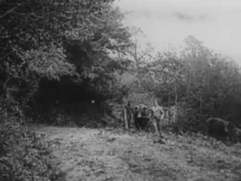 Disturbing Pathe footage from World War One reveals devastating