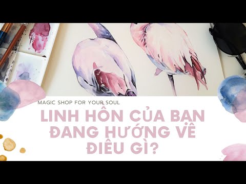Video Chọn 1 tụ bài - LINH HỒN CỦA BẠN ĐANG HƯỚNG VỀ ĐIỀU GÌ? - youtube