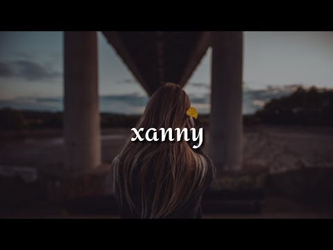 billie-eilish---xanny-(lyrics)