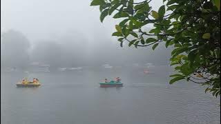 19 may 2024 kodaikanal today | climate | tourist crowd | flowershow | summer festival