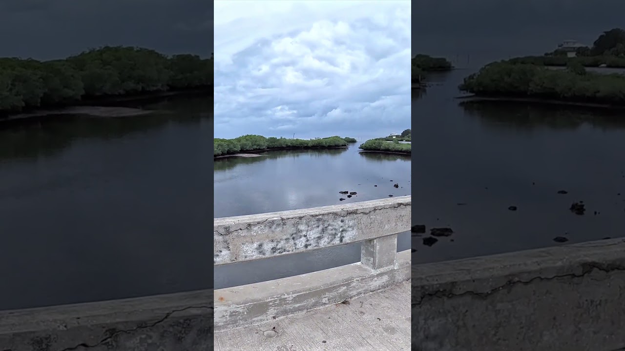 Aripeka - A Gulf Coast Village #florida #motorcycleadventure