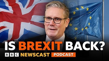 Why is the UK Prime Minister Keir Starmer talking about Brexit again? | BBC Newscast