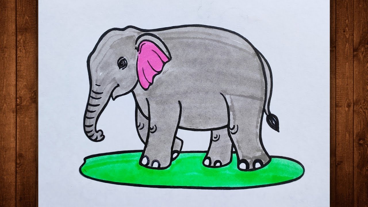 Elephant Drawing || Elephant Drawing Colour || Elephant Colour