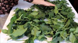 Fiesta Del Crespillo En Colungo.