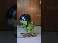 Skateboarding birds #parrots #parrot #skateboard #skate #skateboarding #birds #animals #funnyvideo