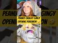 Peanut Catches Gingy Opening Pokemon