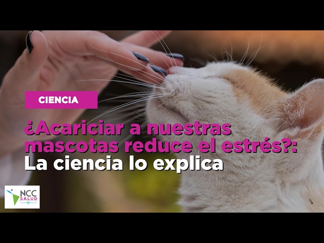 ¿Acariciar a nuestras mascotas reduce el estrés?: La ciencia lo explica