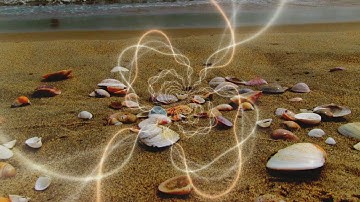 Divine Matrix - Shells