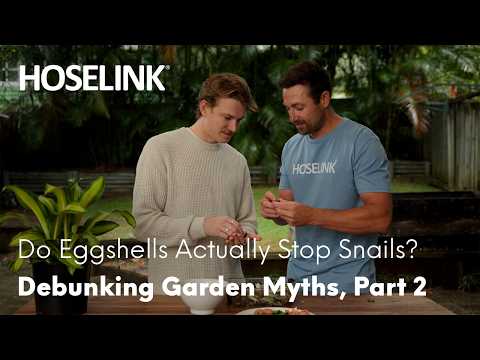 Video Do Eggshells Actually Stop Snails? | Garden Starters | Episode 5