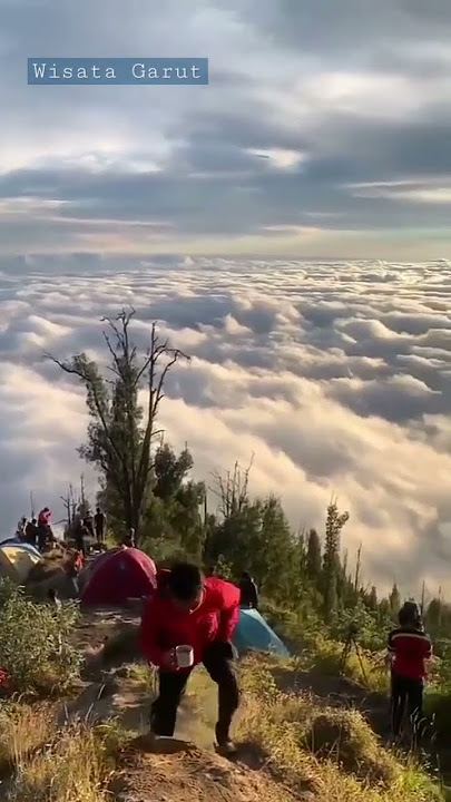 Puncak Gunung Cikuray Garut #gunung  #garut