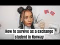 Living in Norway |As exchange student in Norway| Jobs| friends| Norwegian blogger|