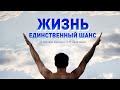 Жизнь - единственный шанс