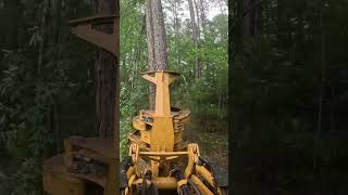 Tigercat is still on top #loggingequipment