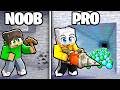 PICCONE NOOB vs SUPER PICCONE PRO in Minecraft!