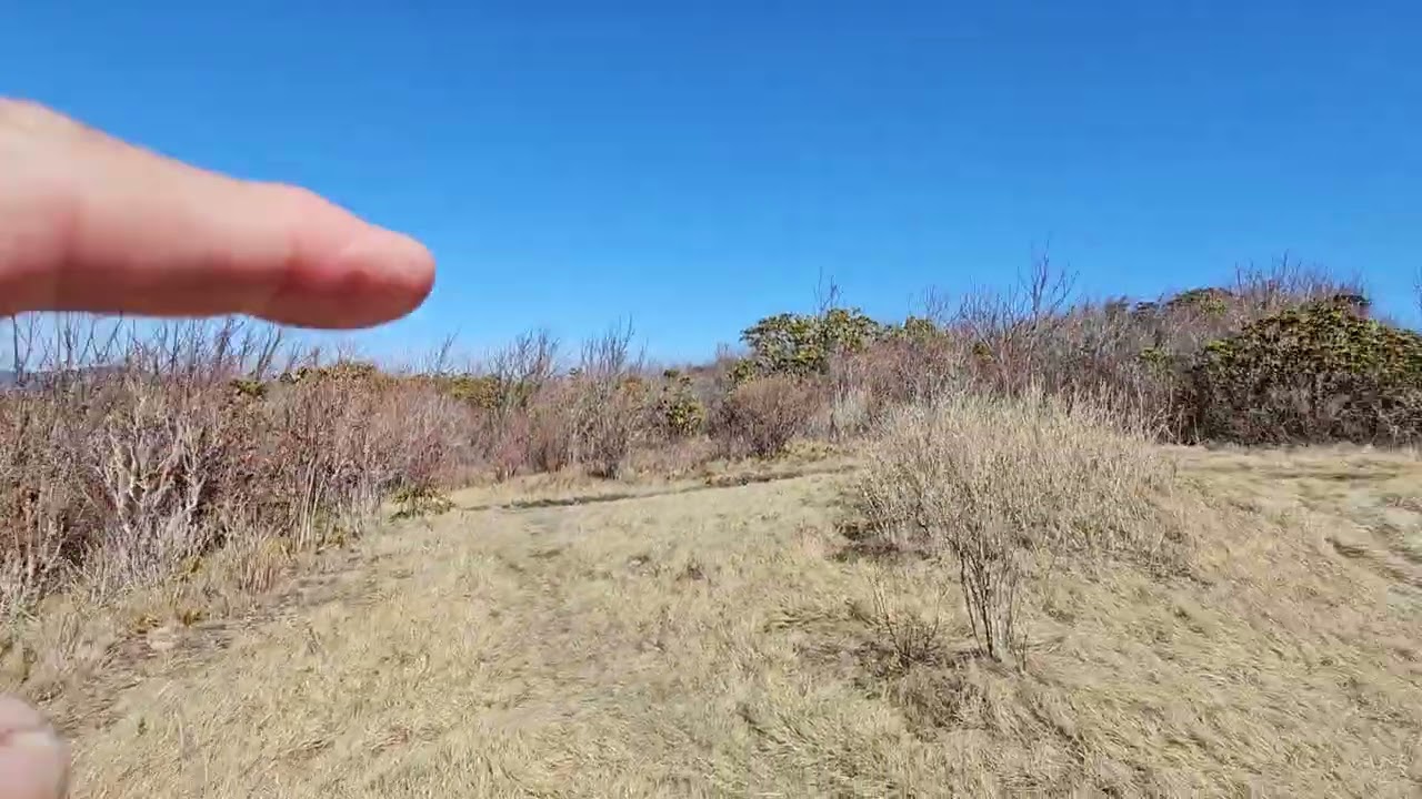 Sam's Knob, Part 4 (reaching summit)