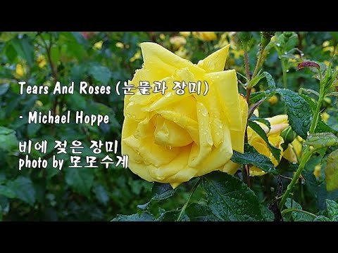 Tears And <strong>Roses</strong> (눈물과 장미) / Michael Hoppe &amp;amp; photo by 모모수계