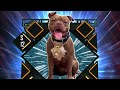 We're on the final map! Team Ring Domination Mr Iguana! #wwesupercard #wwe Bella Doggo Support!