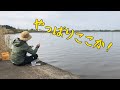 小物釣り ウワサのオオタナゴを釣りたい micro fishing