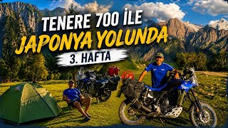 Tenere 700 ile Japonya yolunda