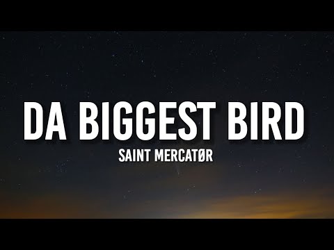 SAINT MERCATØR Da Biggest Bird Lyrics I M The Biggest Bird I M The Biggest Bird TikTok Song 