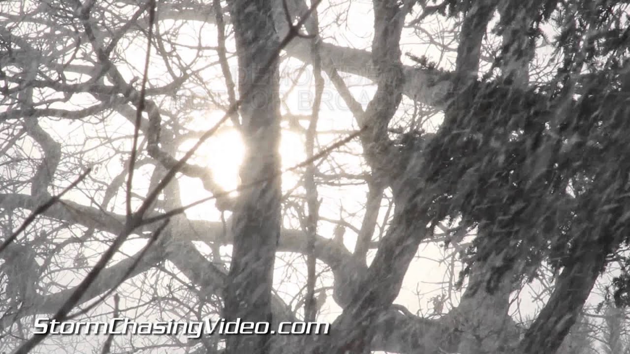 3/24/2013 Rice Lake, WI Heavy Falling Snow