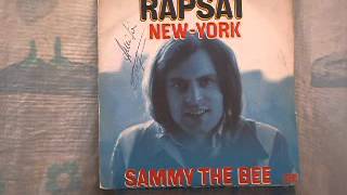 Rapsat New York Foundation 121973