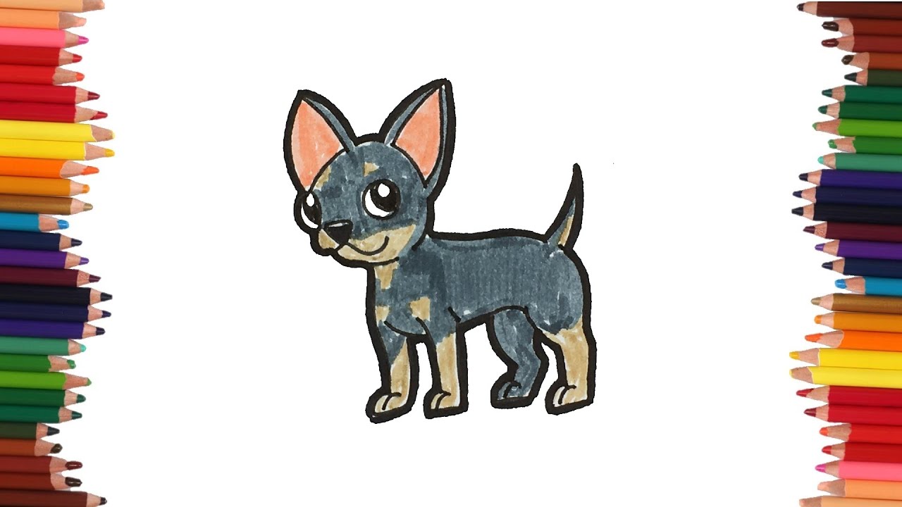como dibujar un perro chihuahua | Dibujos fáciles - YouTube
