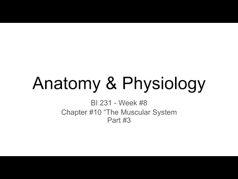 Chapter #10 Lecture #3