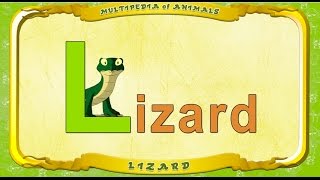 Multipedia Of Animals. Letter L - Lizard