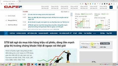 Hướng dẫn lấy giá ĐCĐC từ Cafef vào file mẫu DMĐT của thầy Lâm Minh Chánh