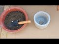 How to make small cement pot only from cement / diy cement pot / DIY planter / Tension Free World