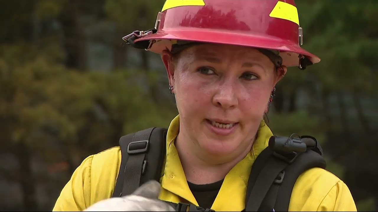 Brookhaven National Laboratory hold controlled burn in pine barrens to prevent future wildfires