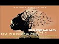 FreeMind Riddim Mix 2024_ft_Richie Spice_I-Octan_Lutan Fyah_Ginjah_Warrior King_Jah Sun_Samini_INoah