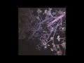     زحمة و ناس فينشي