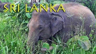 Sri Lanka