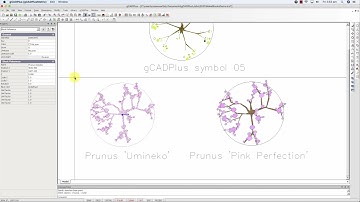 How to create your own plant symbols for landscape design