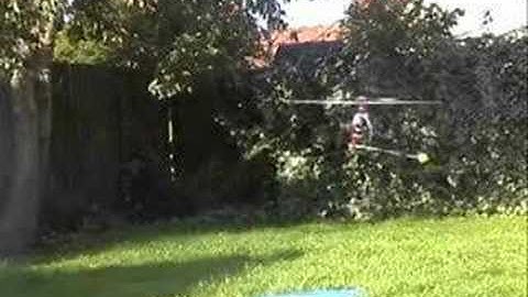 Belt CP Hovering in Garden Part 2