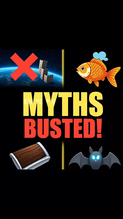 Top 5 Common Myths Most People Still Believe 😱